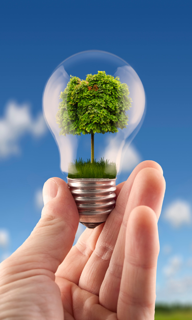 SMT Membership Program